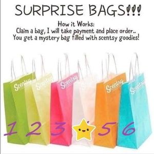 Scentsy mystery bags